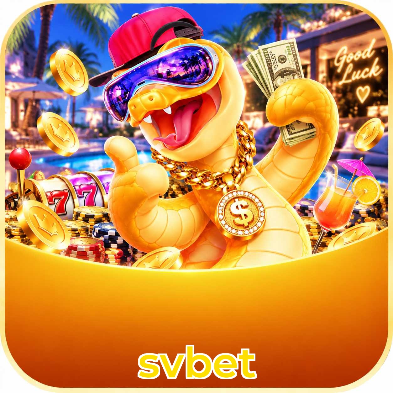 Cadastros recentes verificados na plataforma svbet